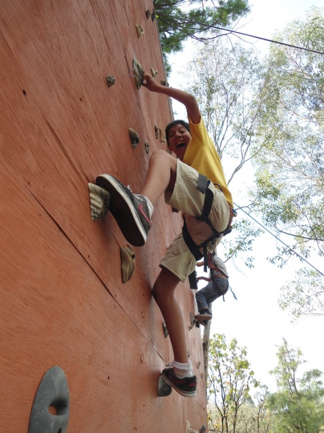  Murs d'escalade 
